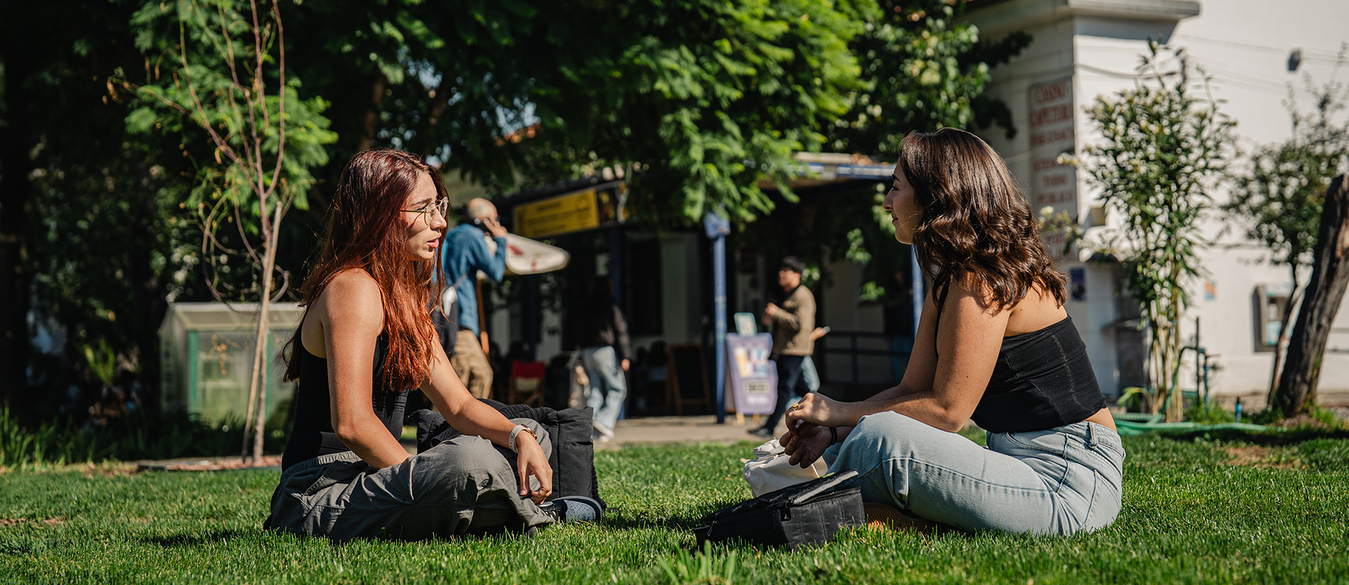 Estudiantes compartiendo sentadas y sentados en el pasto del campus universitario