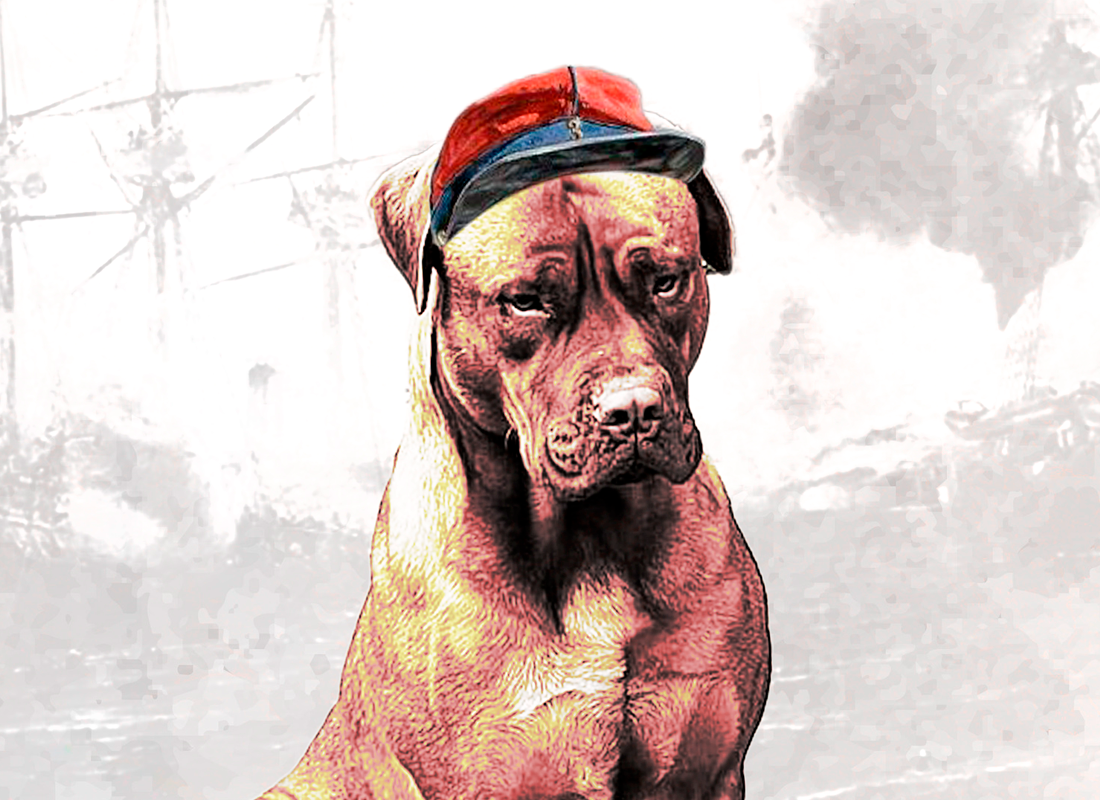 Perro Esmeraldino
