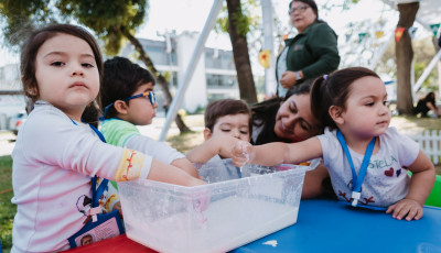 Fotos de la actividad.