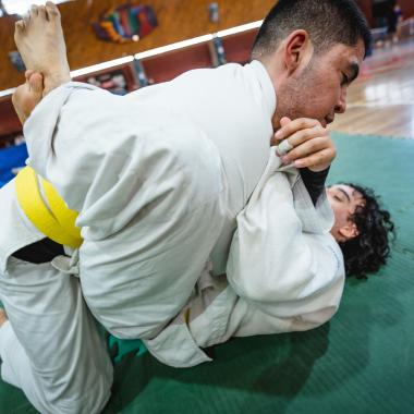 Demostración de judo