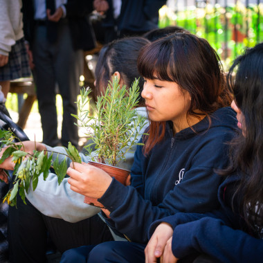 Fotos de la actividad.