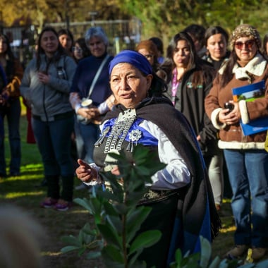 Foto de la actividad.