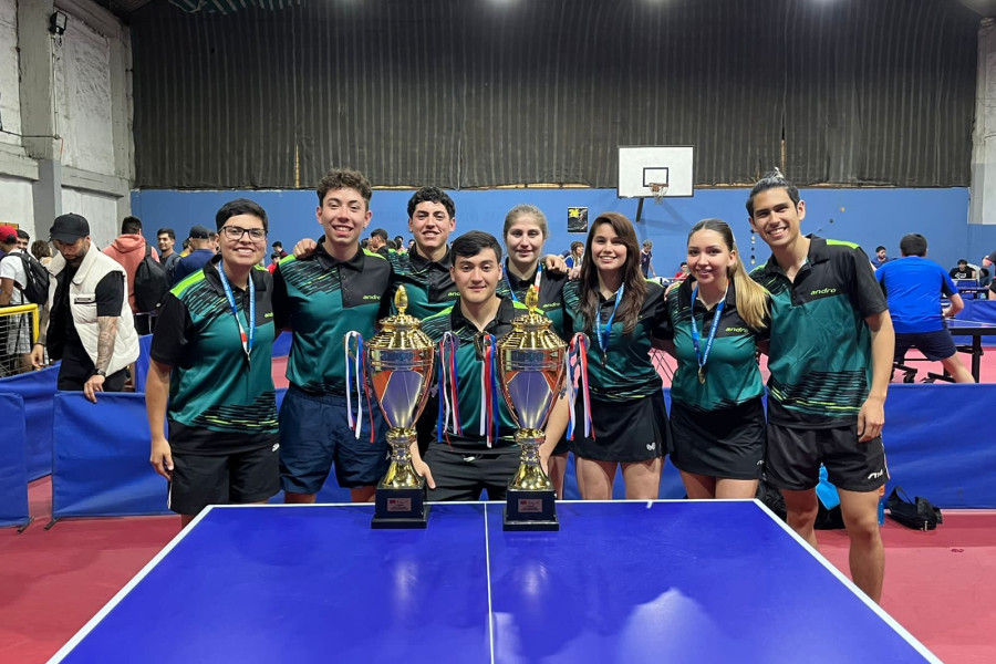 Imagen de nuestra selección de tenis de mesa