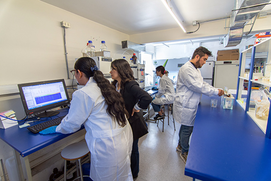 Investigadores trabajando en laboratorio