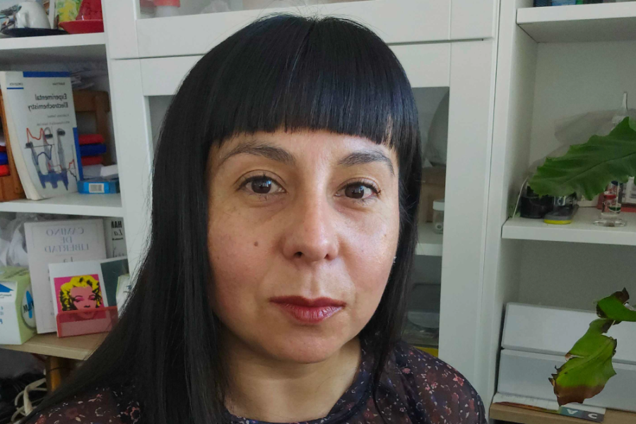 En la imagen aparece la Dra. Ingrid Ponce, de la Facultad de Química y Biología Usach