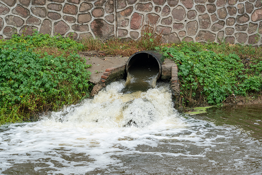 Un tubo negro emerge de una pared de piedra y descarga un potente chorro de agua espumosa y fangosa en un río turbio rodeado de algas verdes.