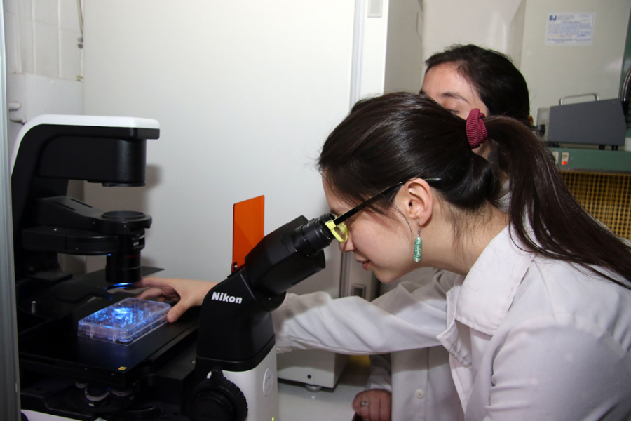 En la imagen aparecen dos investigadores trabajando en un microscopio