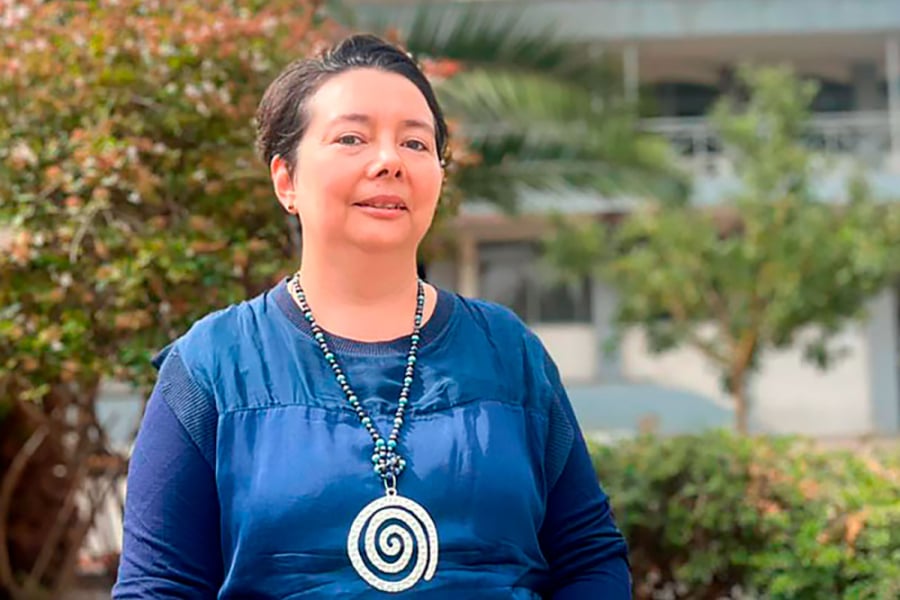 En la imagen aparece la Dra. Isabel Torres Zapata, quien fue parte de este proceso en la elaboración de la guía.