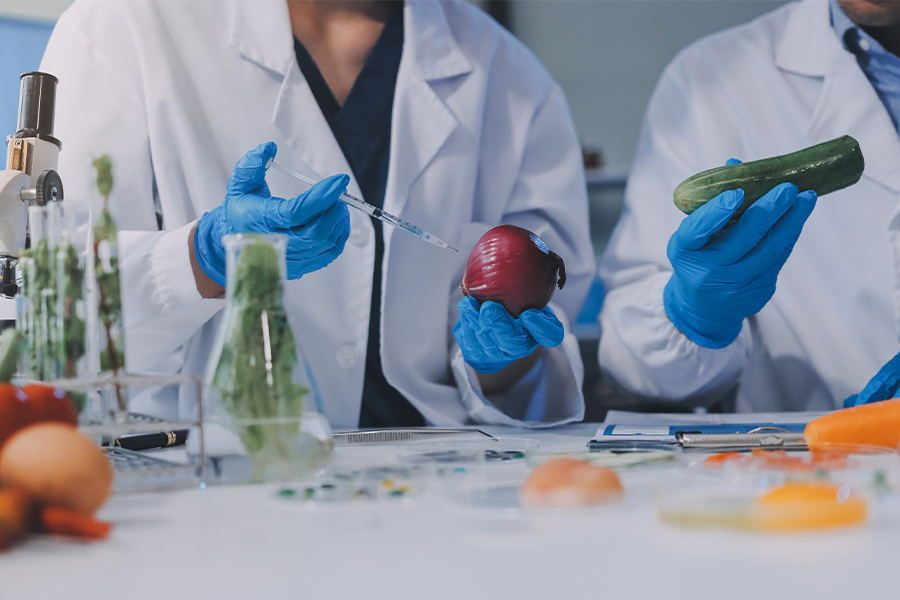 Scientists in lab coats testing fresh produce with a syringe. 