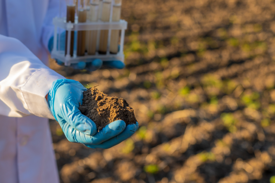 Gloved researcher holding a soil sample alongside rack of test tubes.