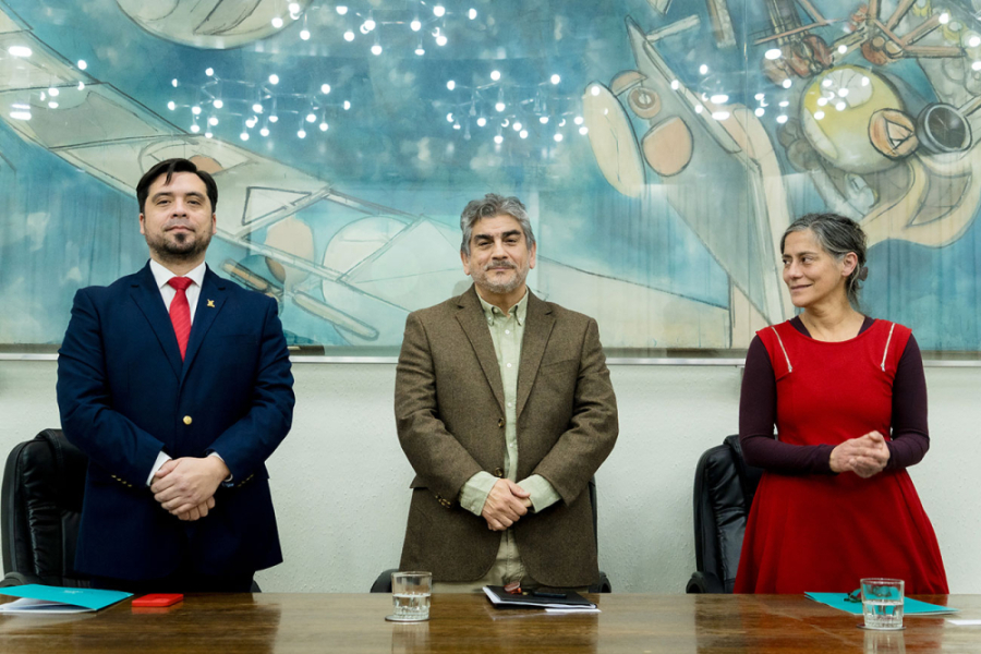 Asunción decano Guajardo