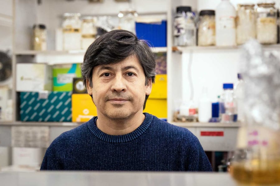 En la fotografía aparece el Dr. Renato Chávez, académico de la Facultad de Química y Biología, investigará si es posible elaborar queso azul sin esas sustancias y conservar las características que  distinguen a este tipo de producto.