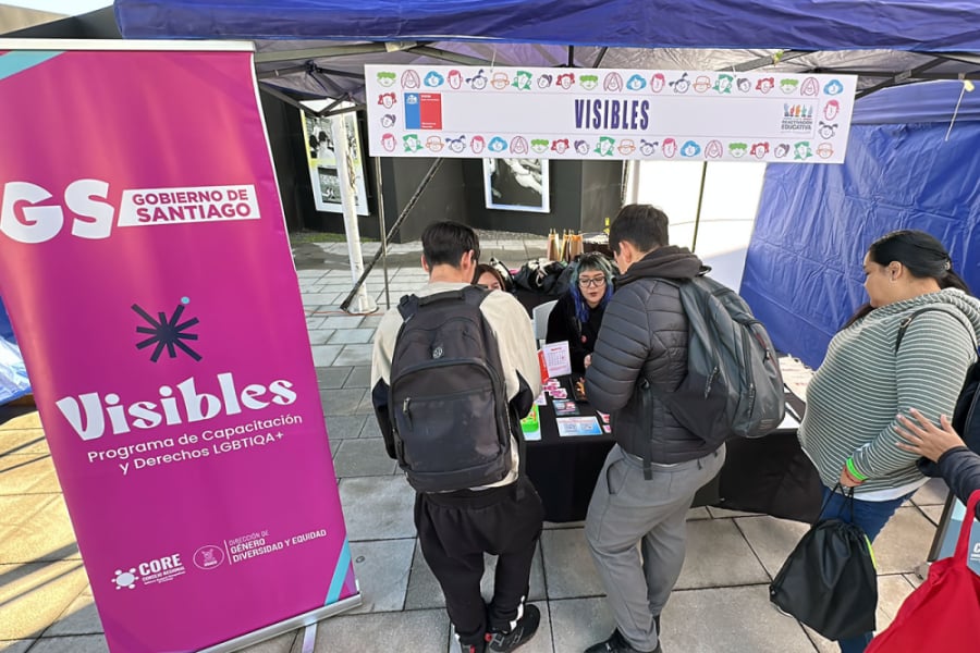 En la imagen aparece un stand del Programa Visibles, atendiendo a personas. Al costado, un pendón de color rosa y letras blancas con el logo de la iniciativa en negro