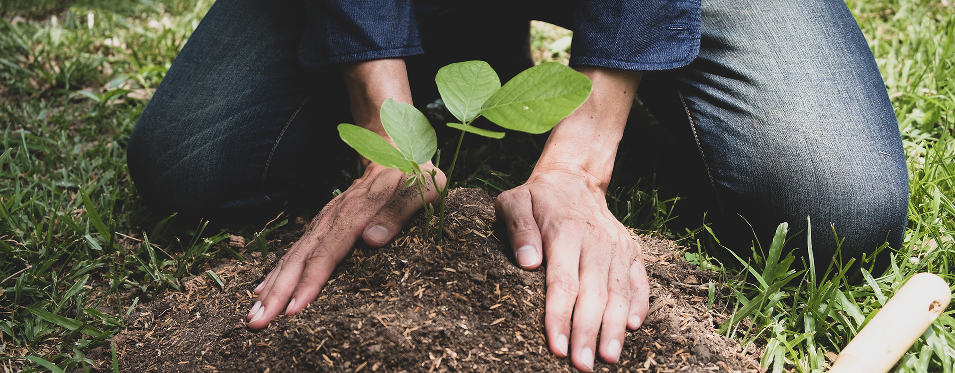 Persona plantando.